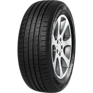 MINERVA F209 205/55R16 91V