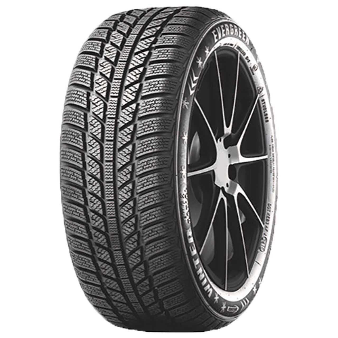 EVERGREEN EW62 205/60R16 96H BSW XL