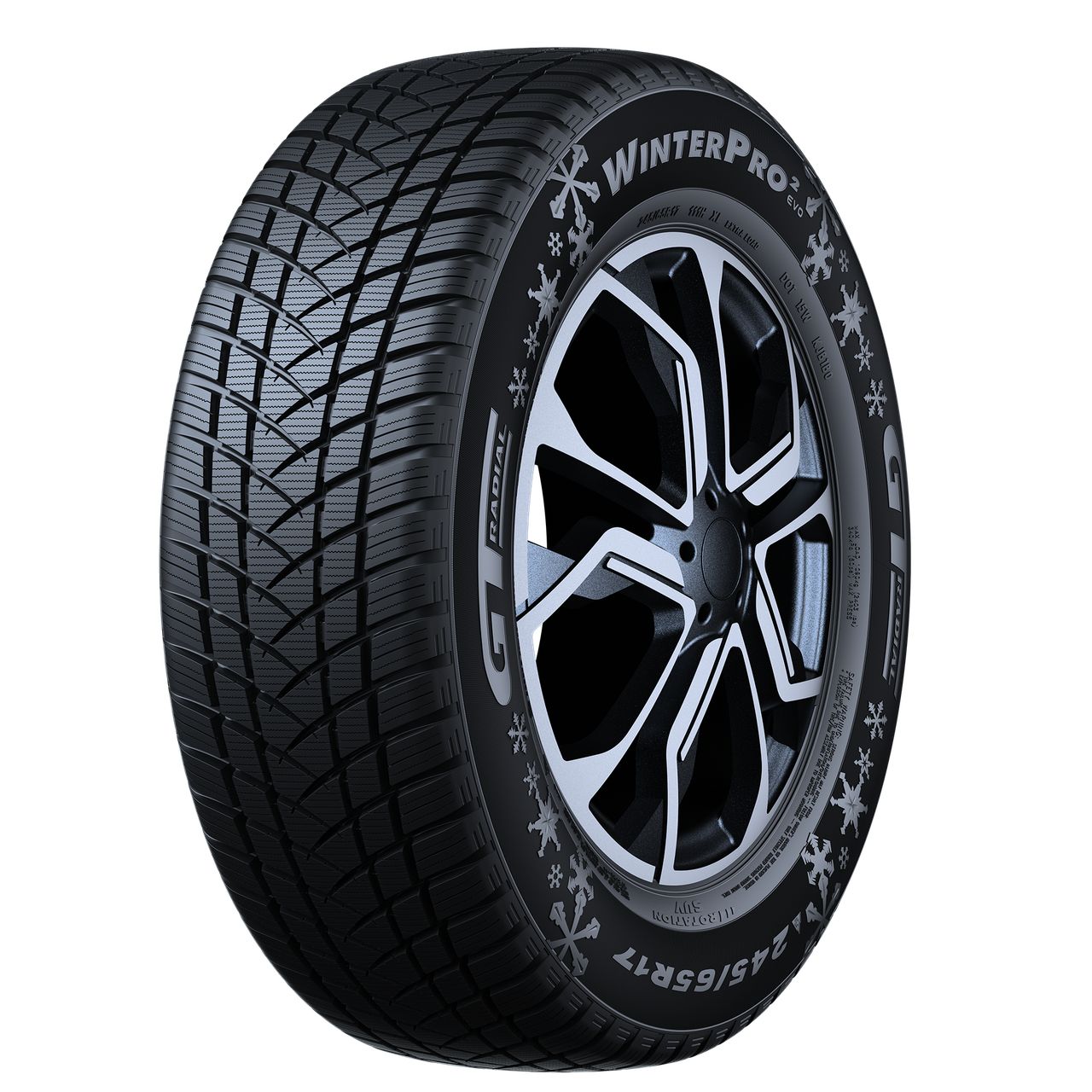 GT-RADIAL WINTERPRO2 205/55R16 91H BSW