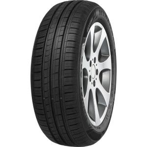 MINERVA 209 195/65R15 91V