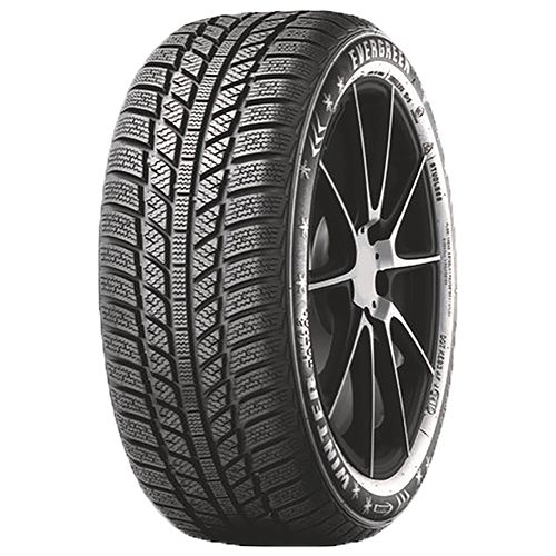 EVERGREEN EW62 195/60R15 88T BSW